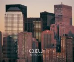 Accu: In The City