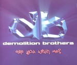 Demolition Brothers: Are You With Me?