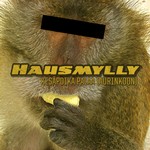 Hausmylly: Kes�poika palaa (aurinkoon)