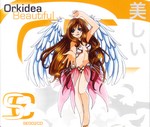 Orkidea: Beautiful