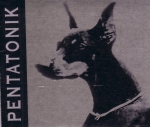 Pentatonik: Vaistolla el�imen