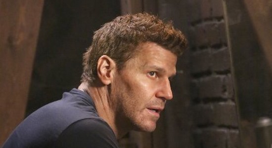 David Boreanaz